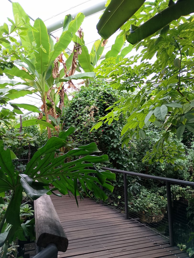 Manatee house interior