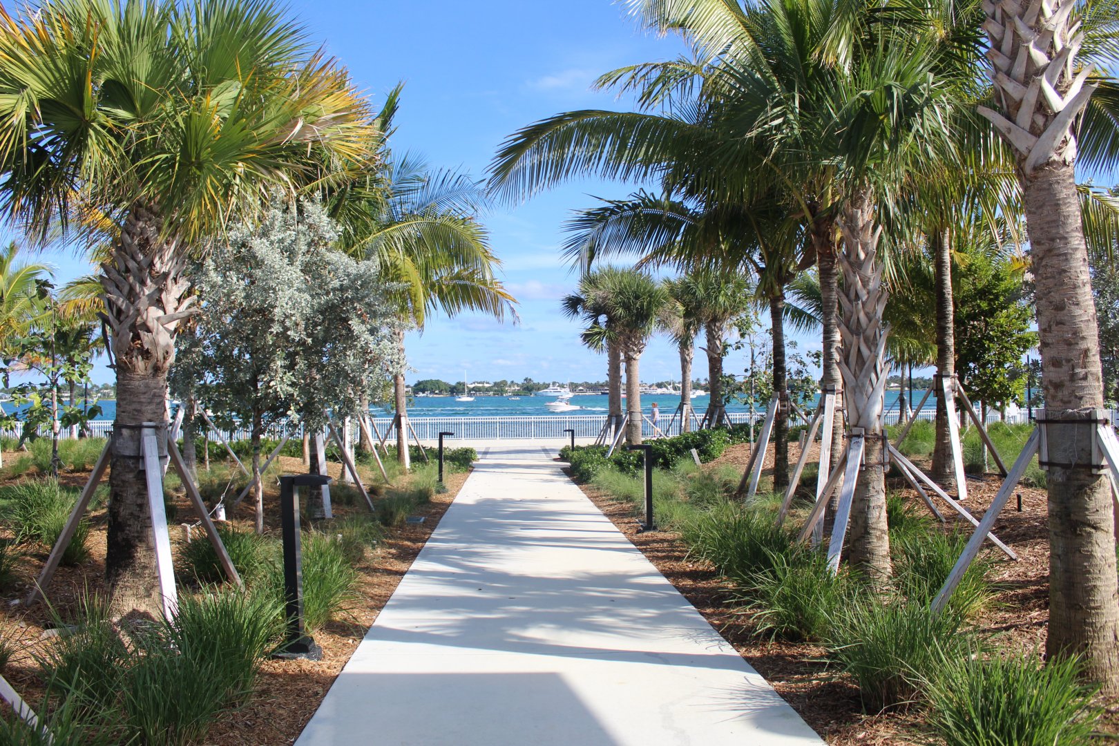 Manatee Lagoon - Plaza