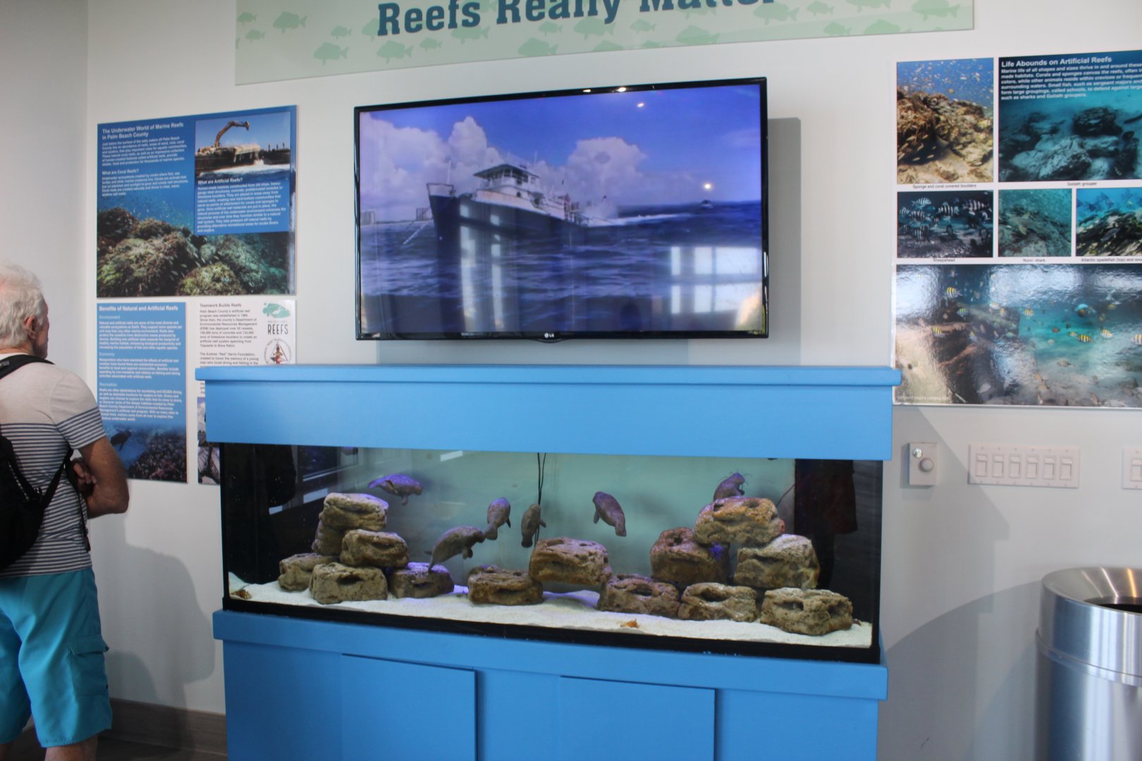 Manatee Lagoon - Saltwater Tank