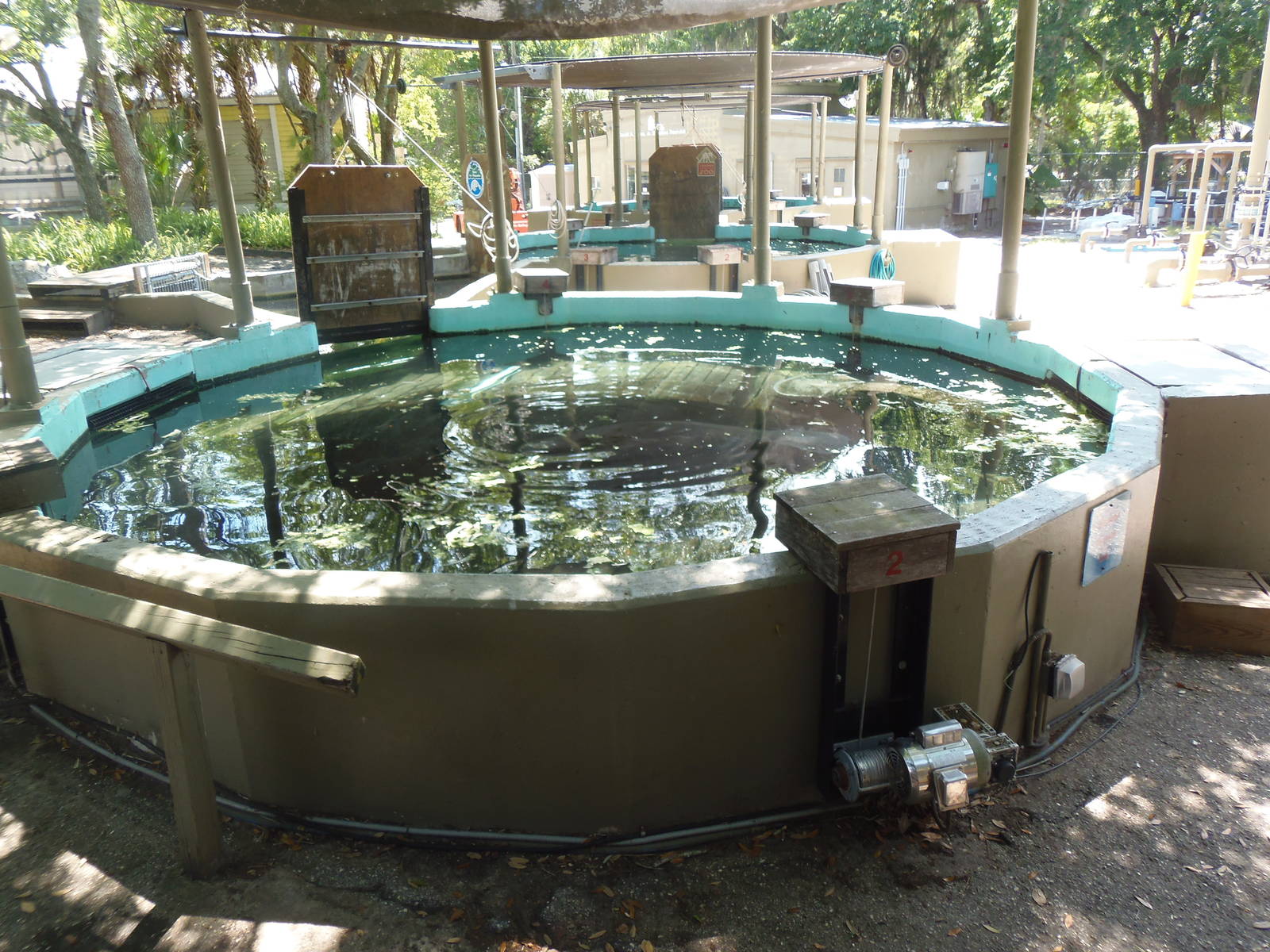 Manatee Medical Tanks
