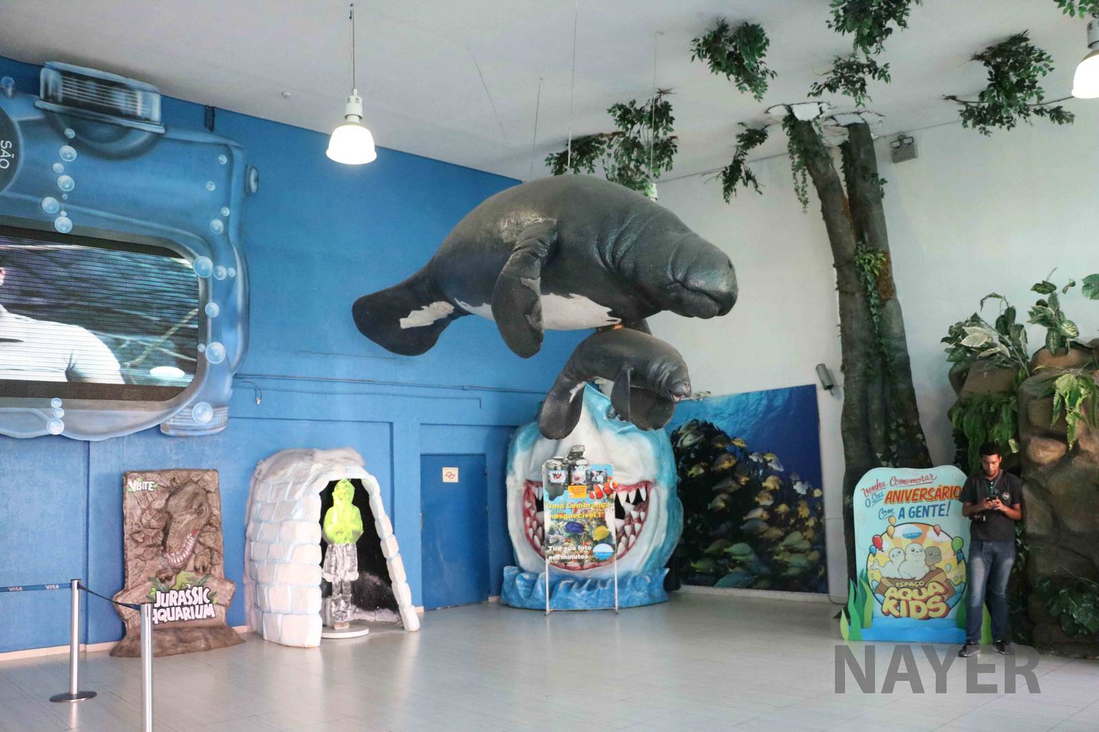 Manatee models and displays in the foyer, April 2016