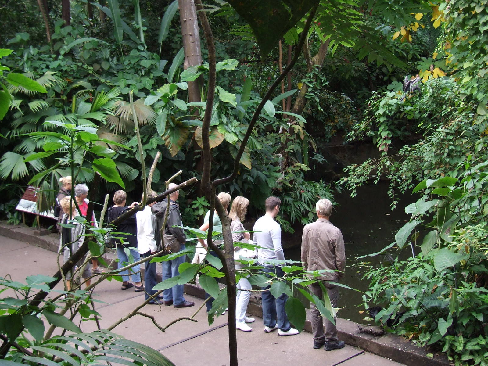 Manatee pool, Burgers Bush