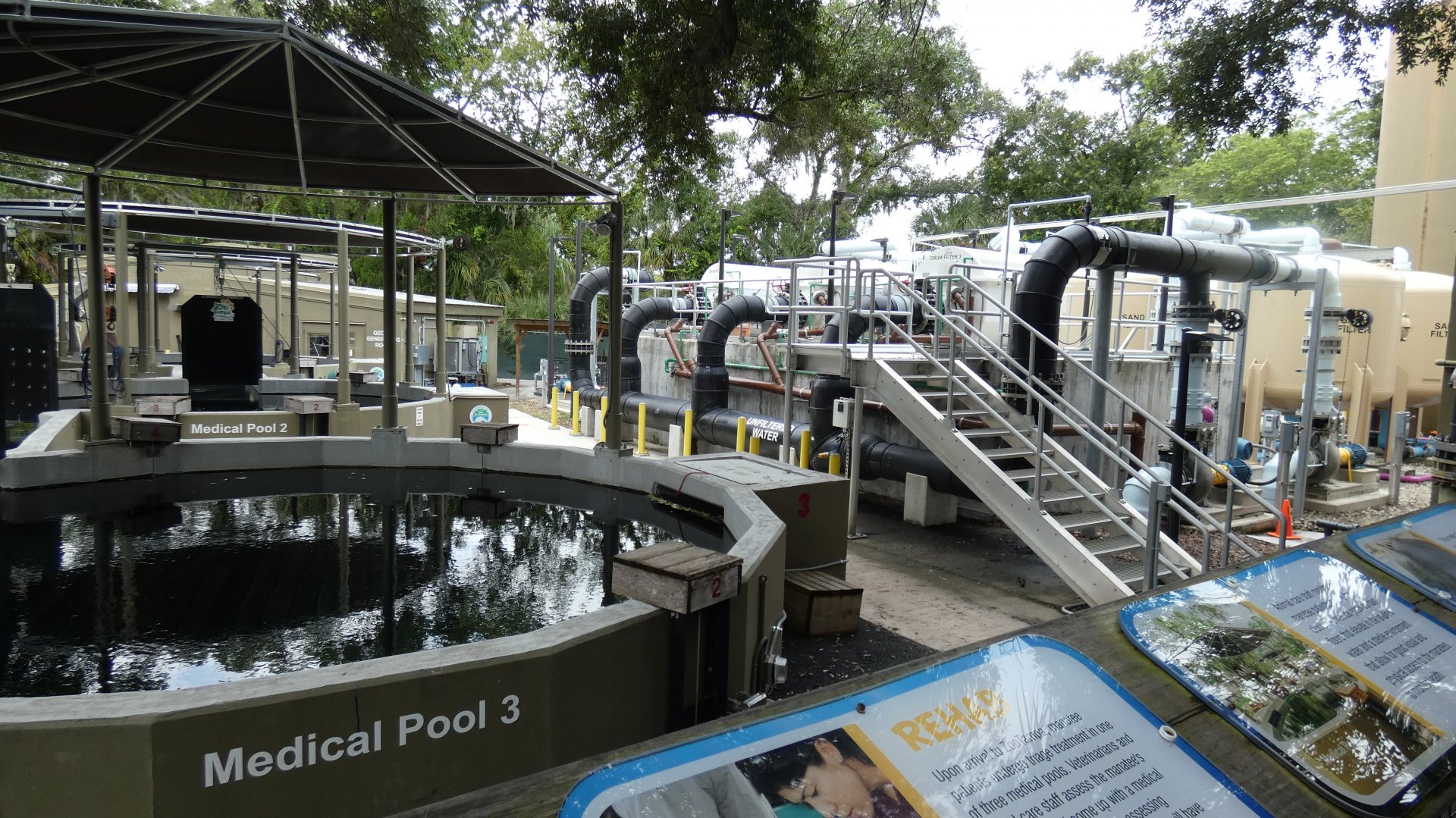 Manatee Rehabilitation Center, Florida - Aug. 2021
