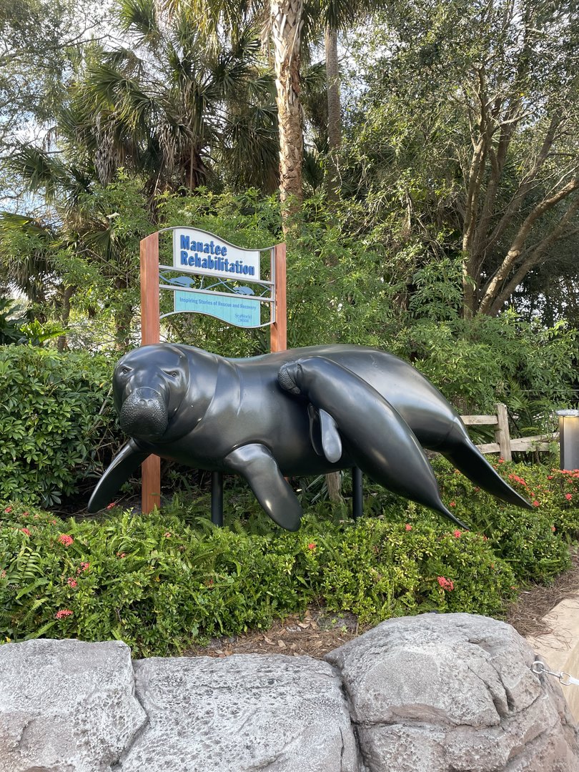 Manatee Rescue- Manatee Statues