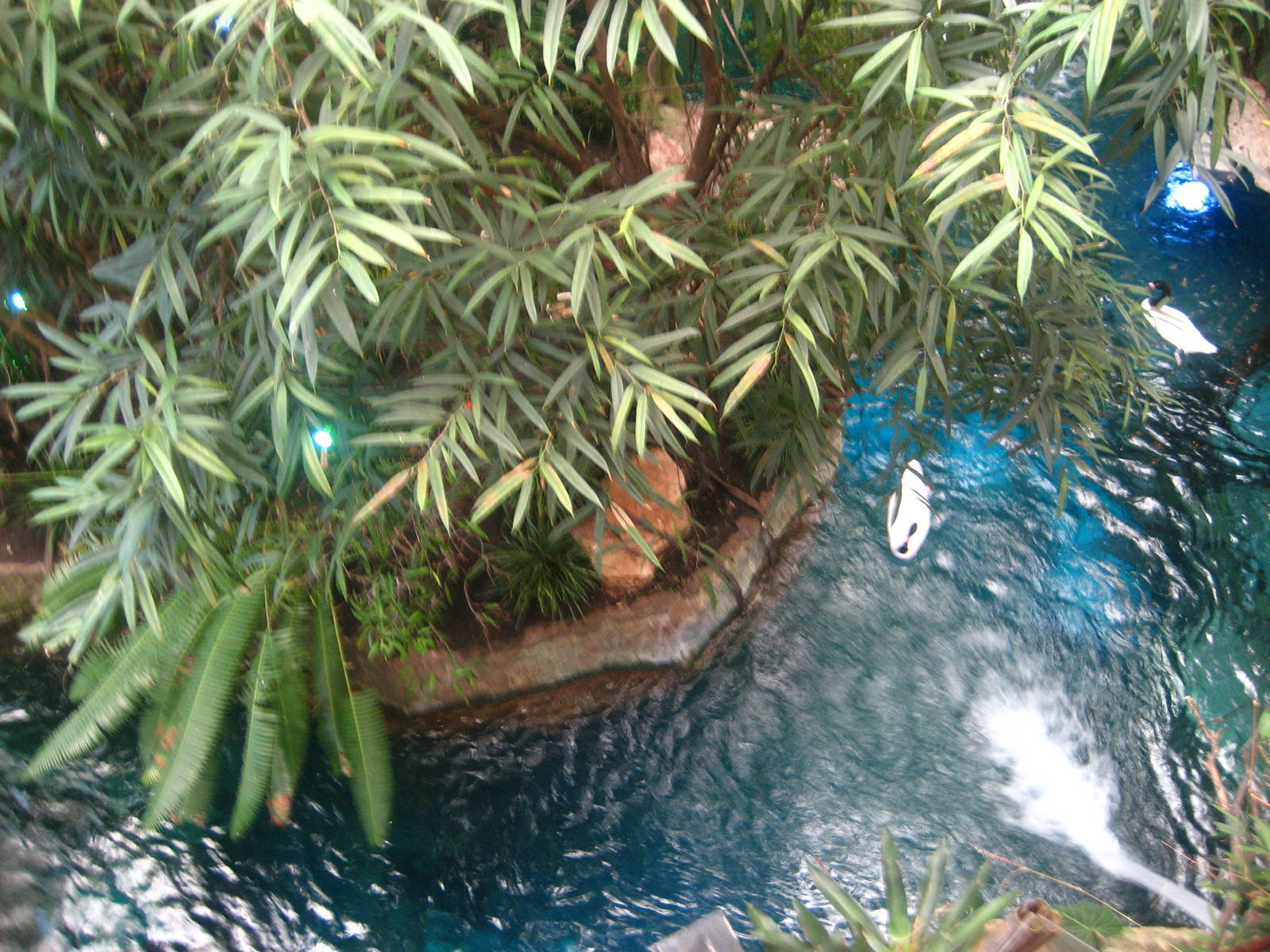 manatee river/monkey island