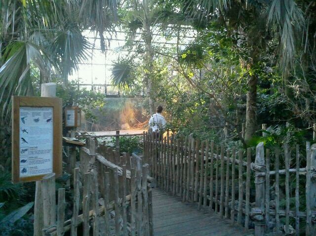 Manatee Springs-Greenhouse