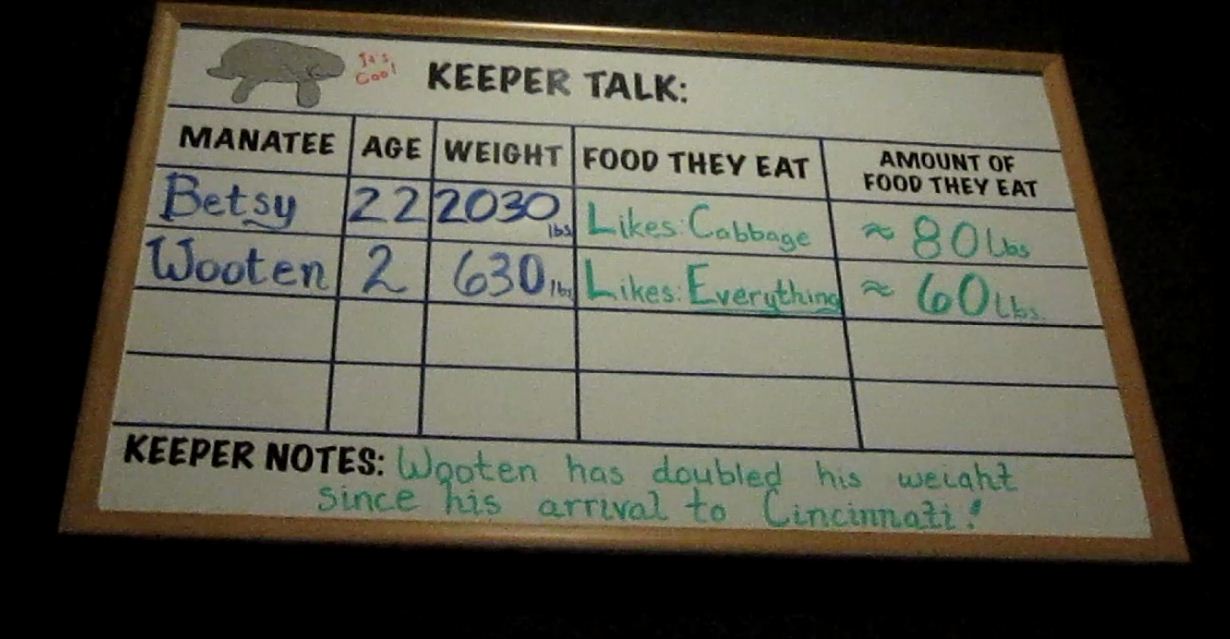 Manatee Springs-Manatee Keeper Notes