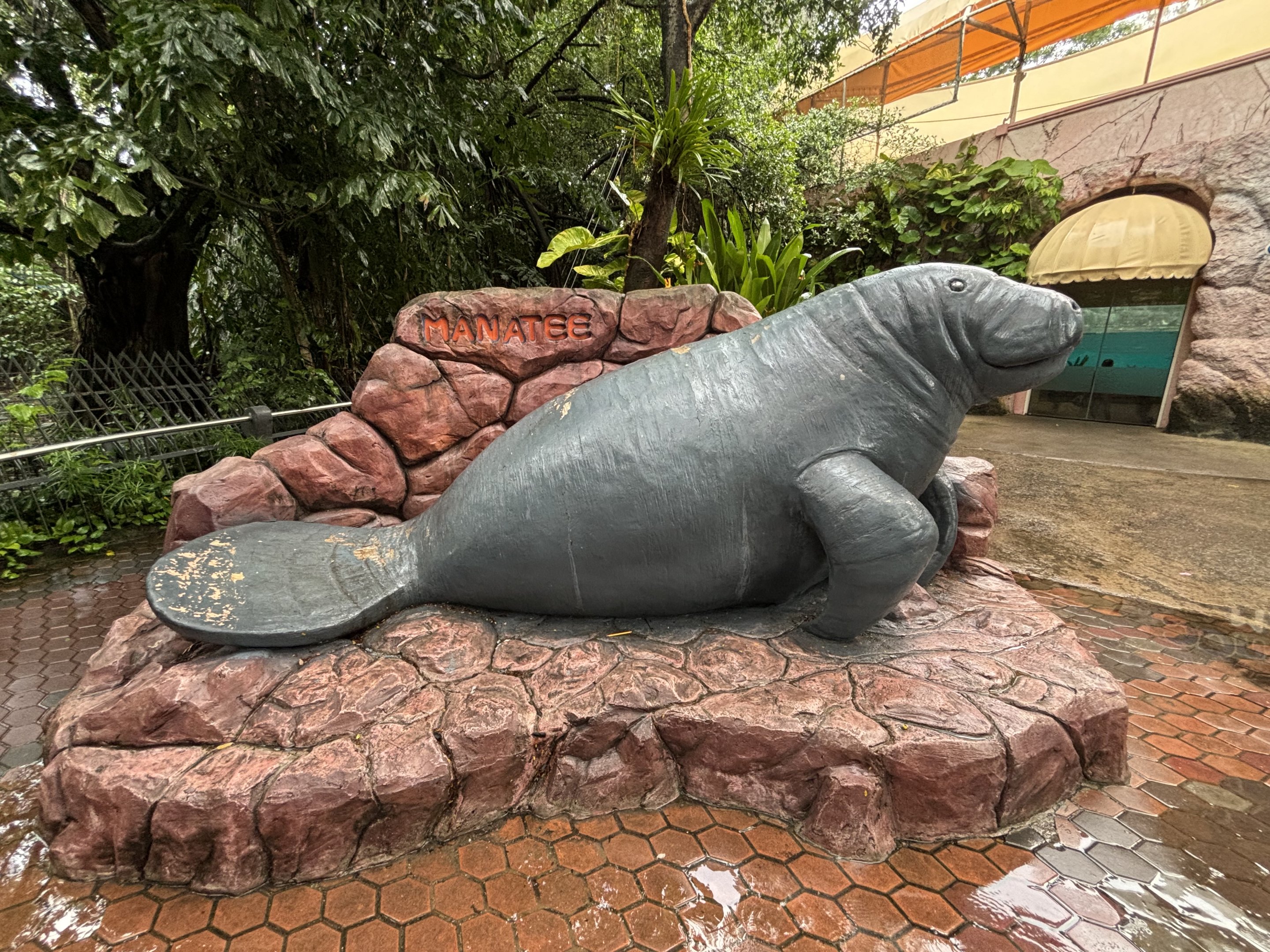 Manatee Statue
