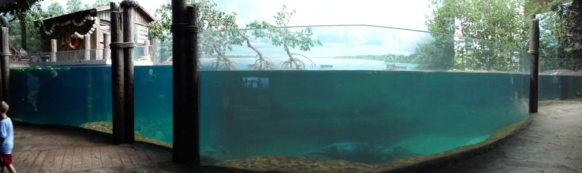 Manatee Tank