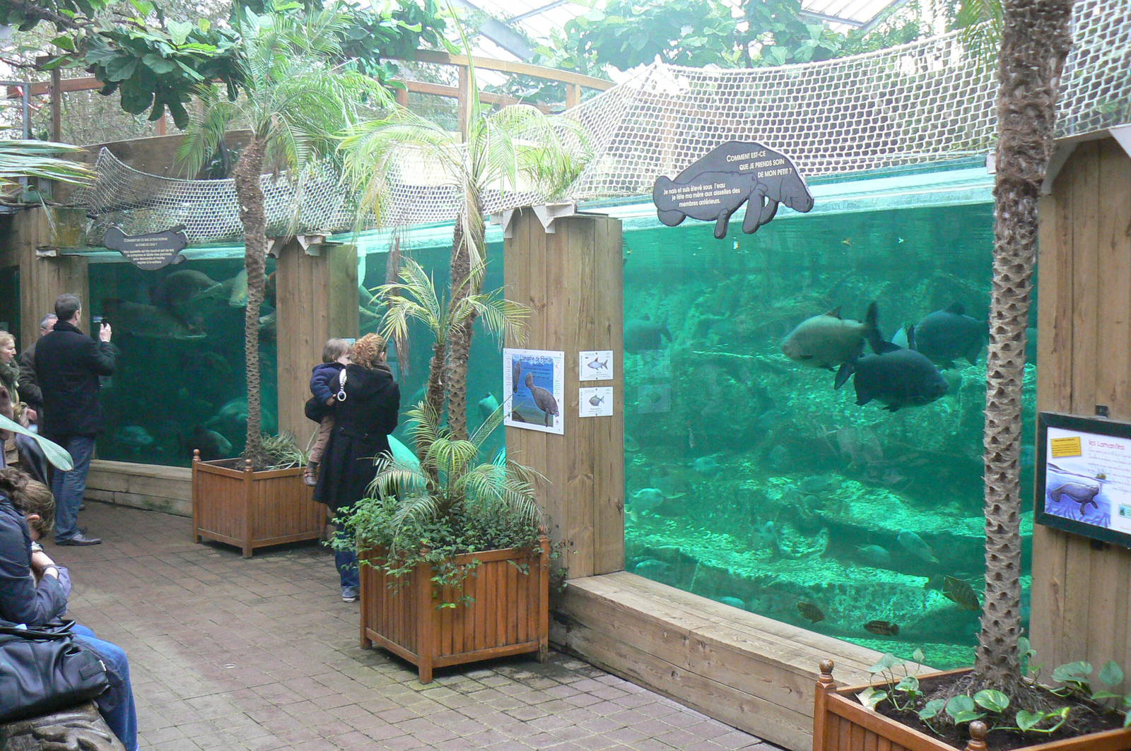 Manatees pool in the third greenhouse  of the zoo