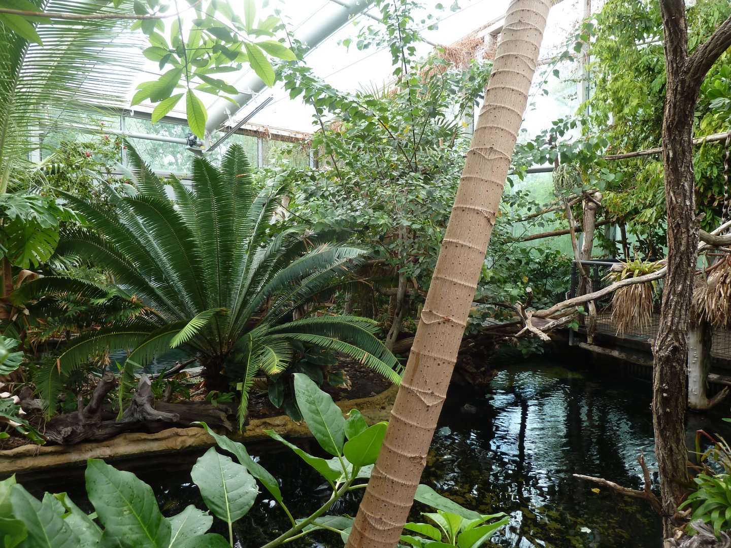 Manatihaus - second inaccessible island