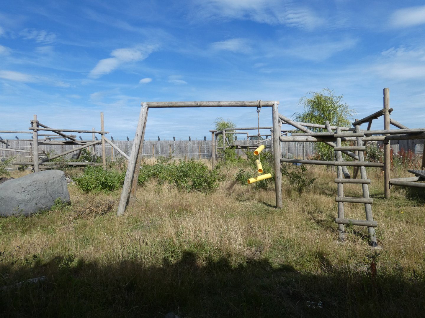 Manchurian Black Bear enclosure (2)