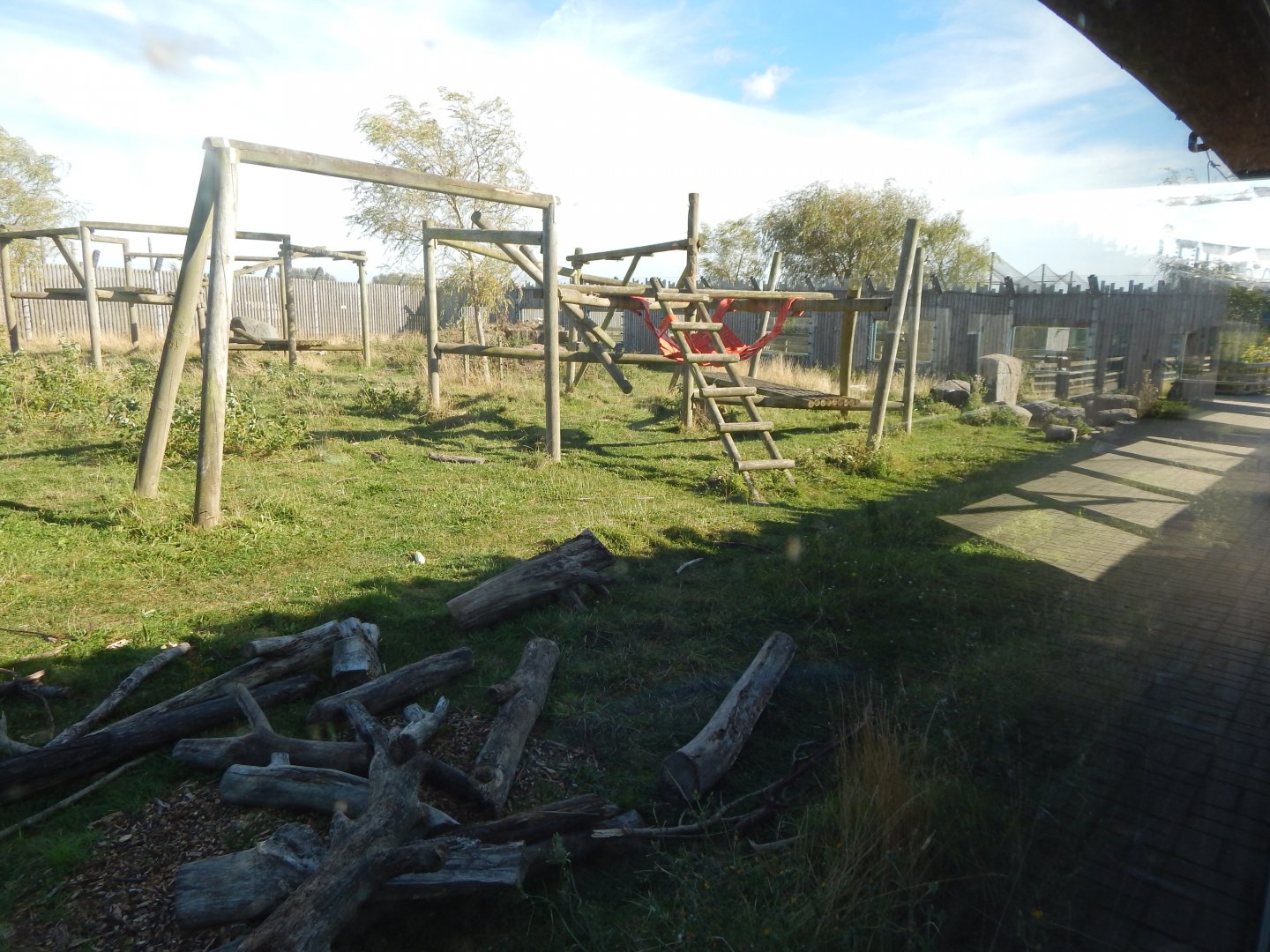 Manchurian black bear exhibit 030924