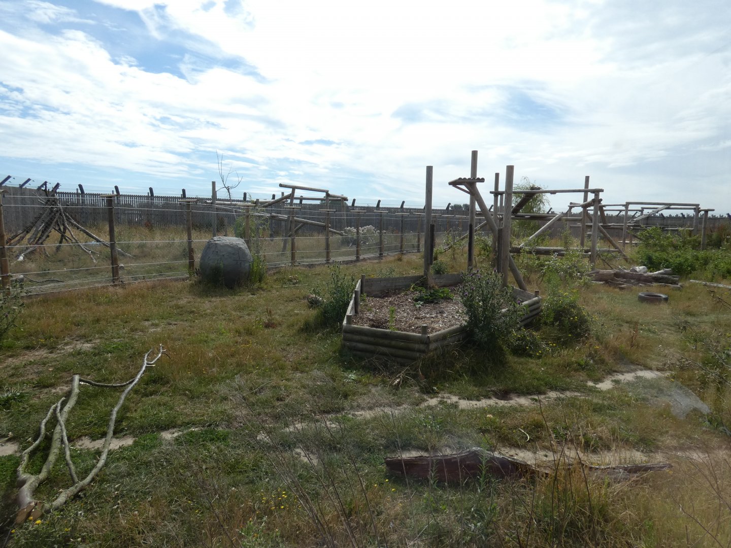 Manchurian Black Bear outdoor enclosure