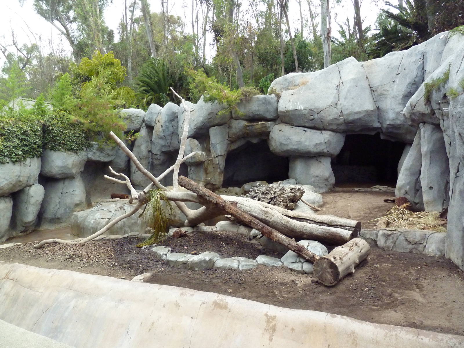 Manchurian Brown Bear/Grizzly Grotto