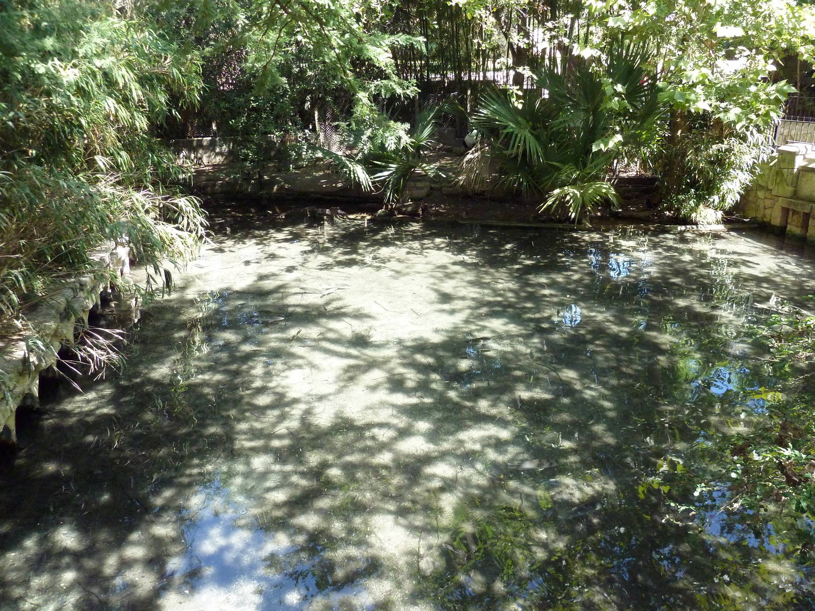 Manchurian Crane Exhibit
