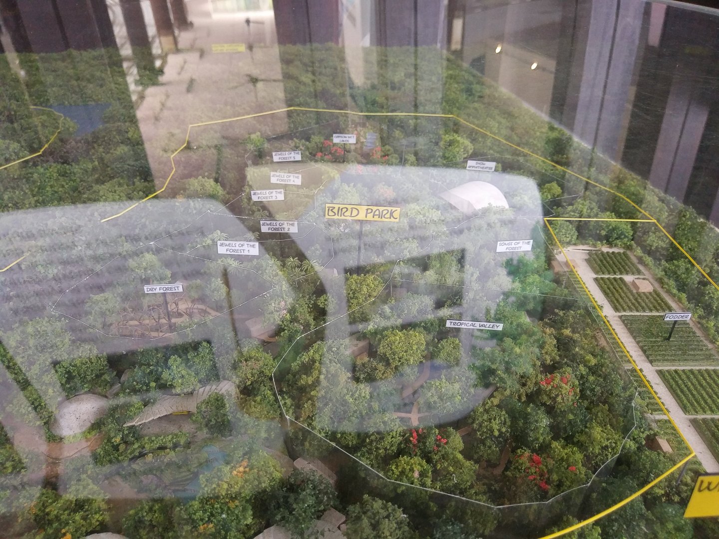 Mandai Development Diorama - New Bird Park