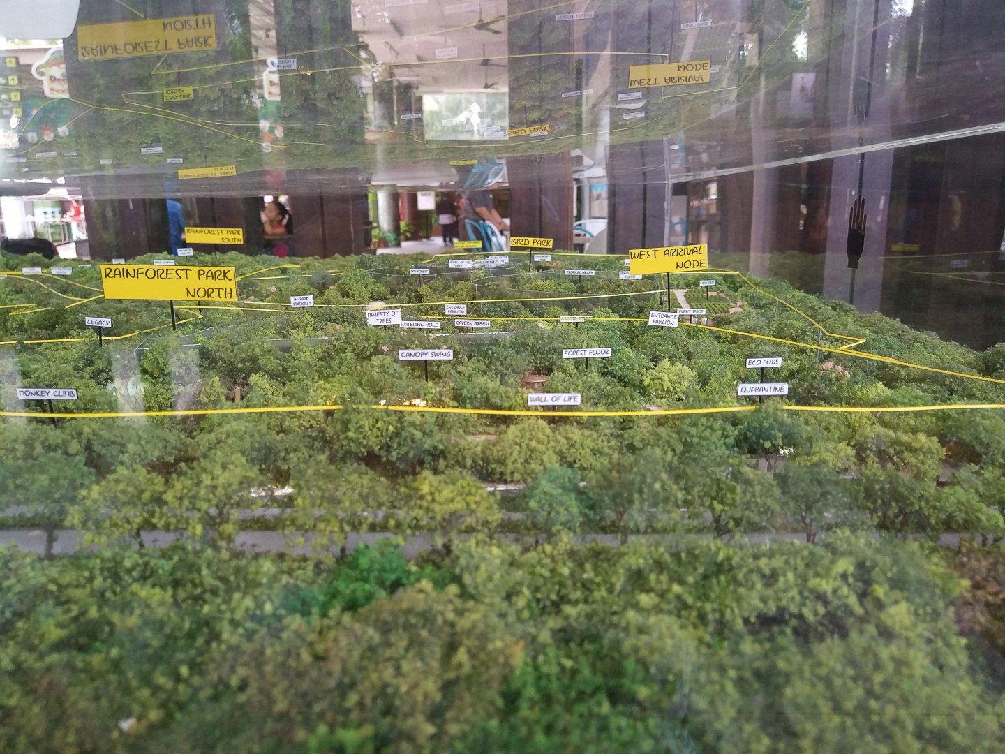 Mandai Development Diorama - Rainforest Park North