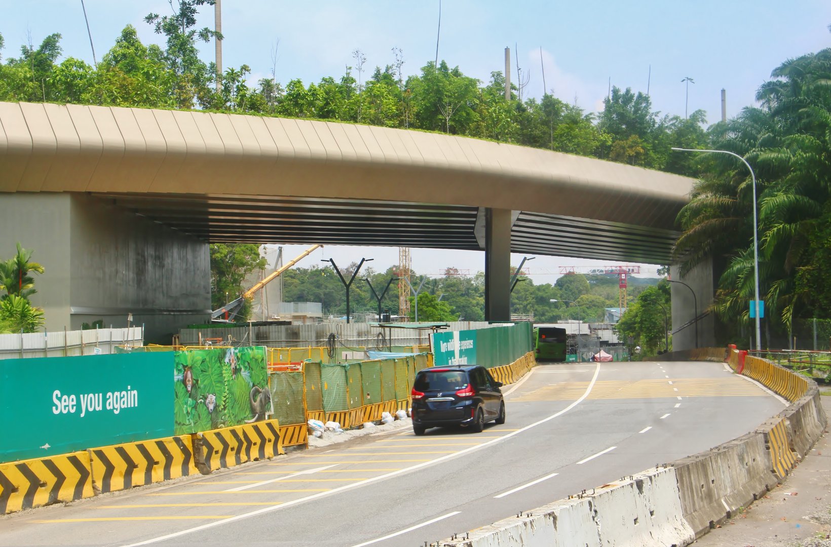Mandai development - Wildlife Bridge