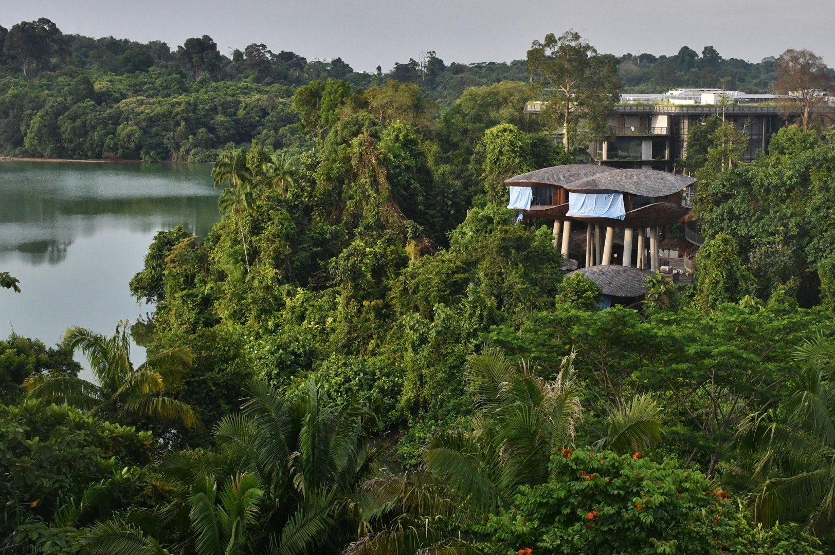 Mandai Rainforest Resort by Banyan Tree (opening 1H 2025)