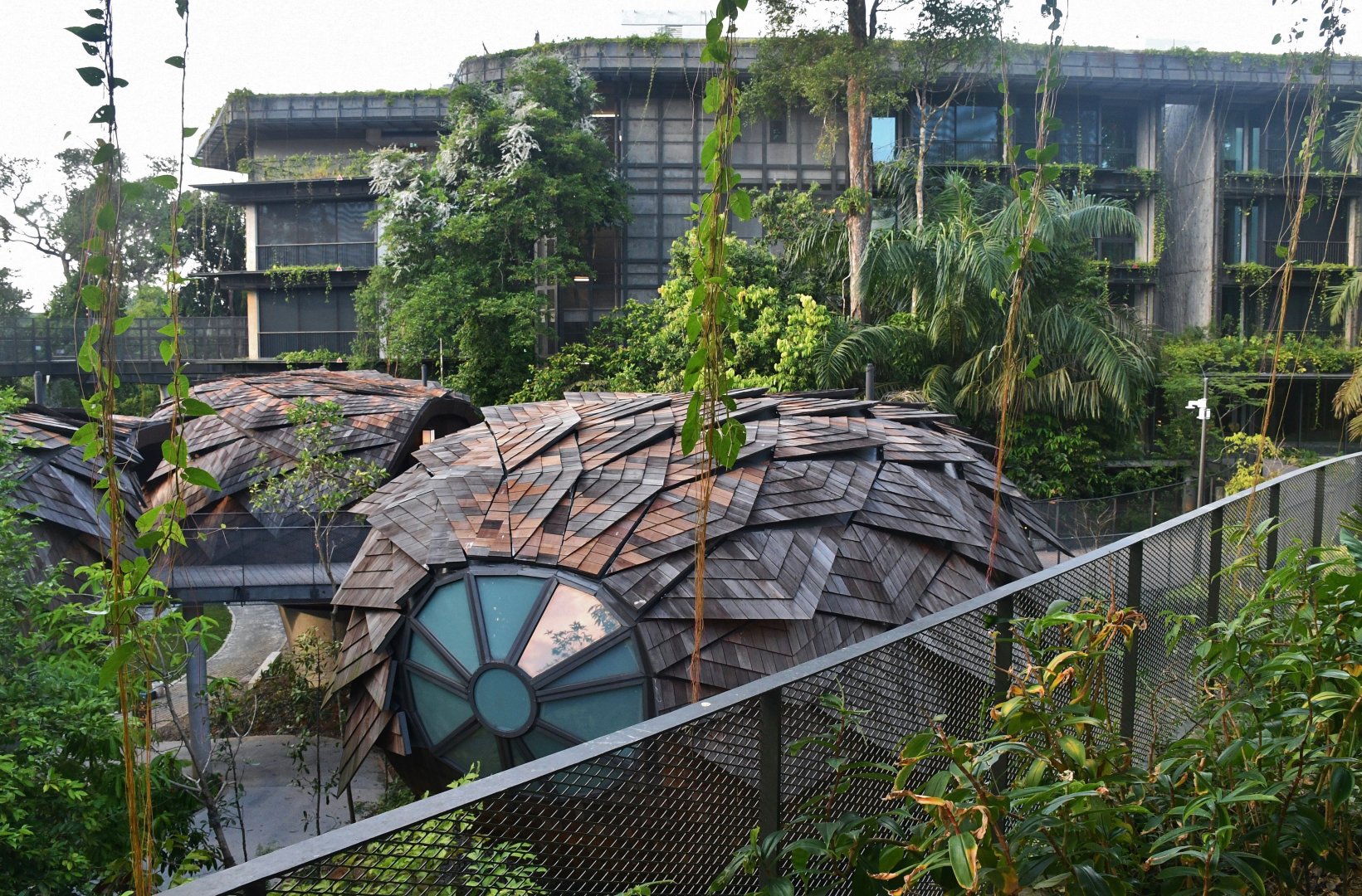 Mandai Rainforest Resort (opening April 2025)