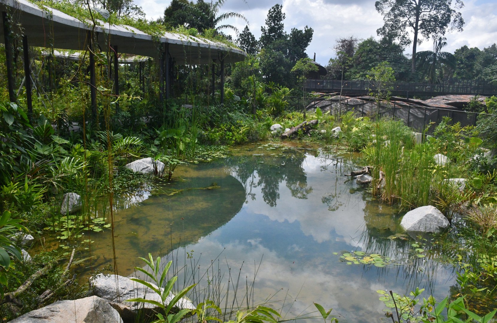 Mandai Rainforest Resort (opening April 2025)