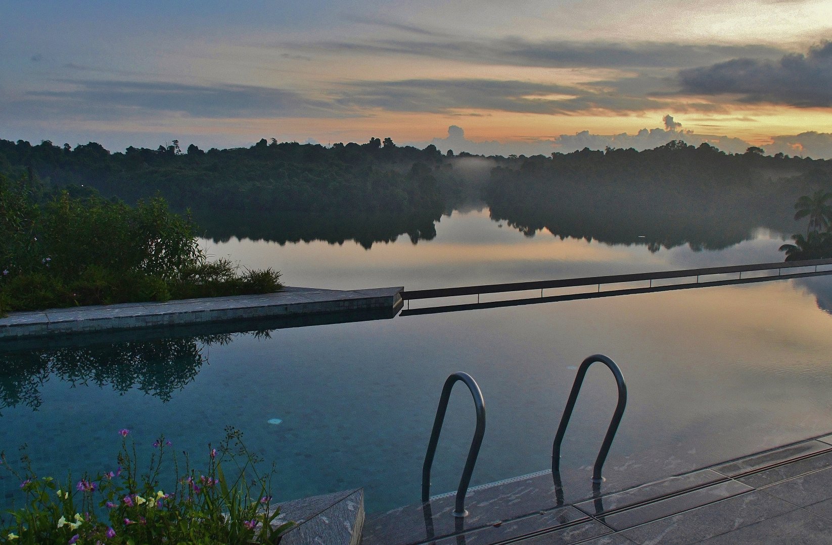 Mandai Rainforest Resort - Rooftop swimming pool