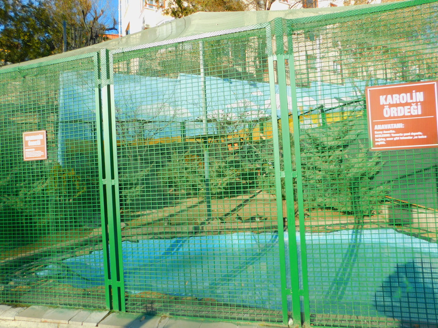 Mandarin and Wood Duck Enclosure at the Ankara Domestic Animal Park