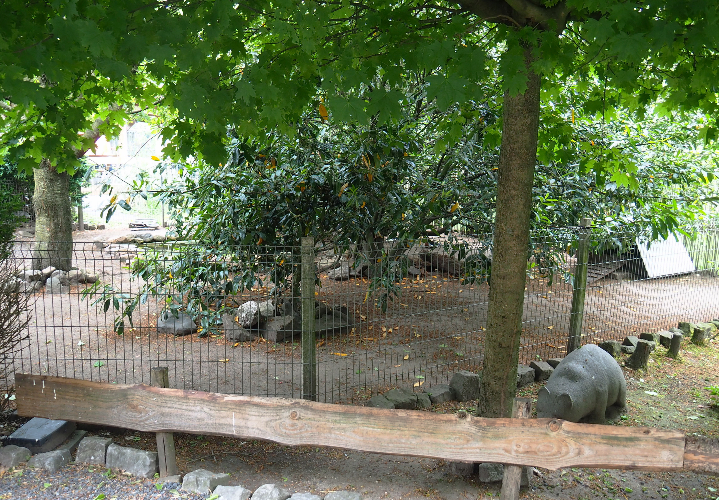 Mandarin duck and Red-breasted goose exhibit, 2022-05-17