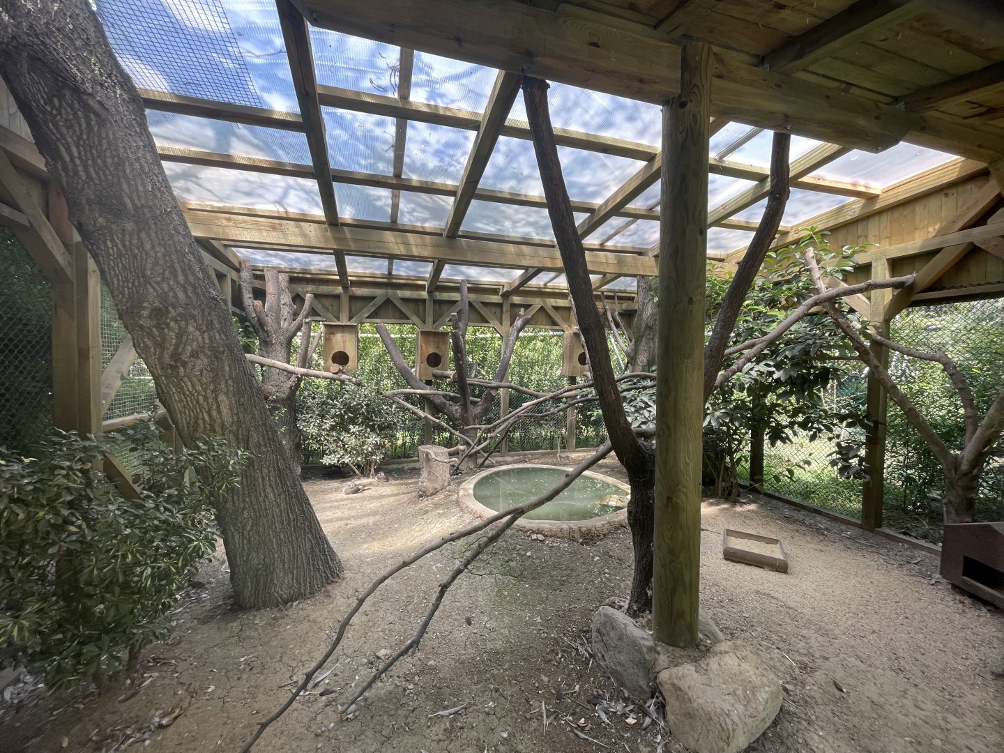 Mandarin duck aviary