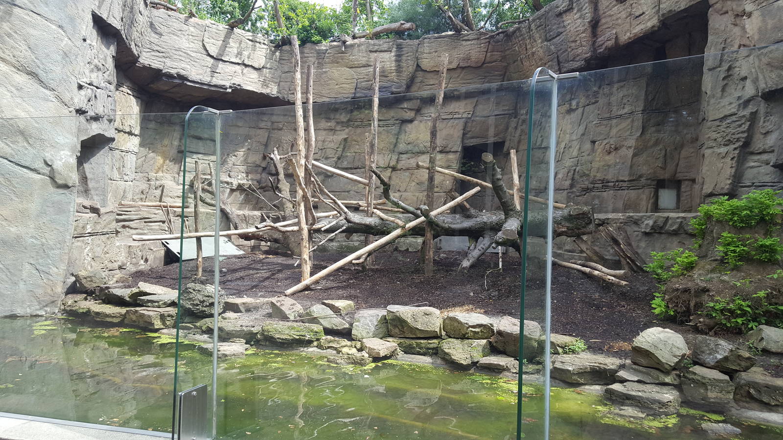 mandril enclosure
