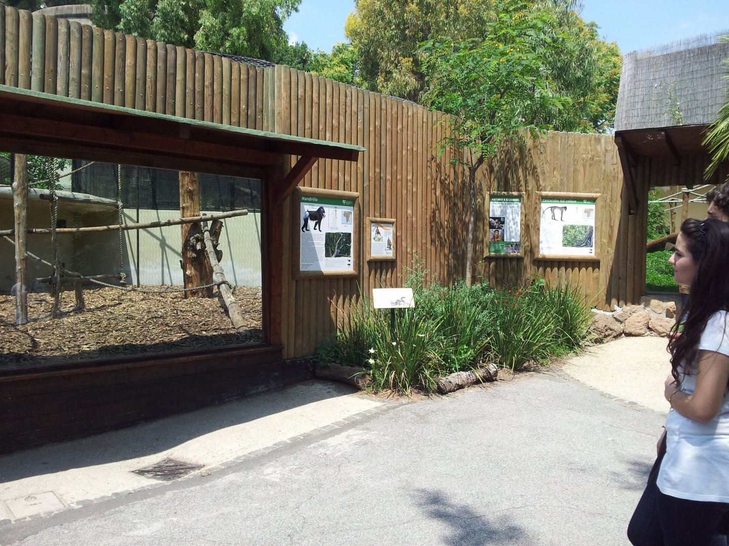 Mandril Exhibit & Signage