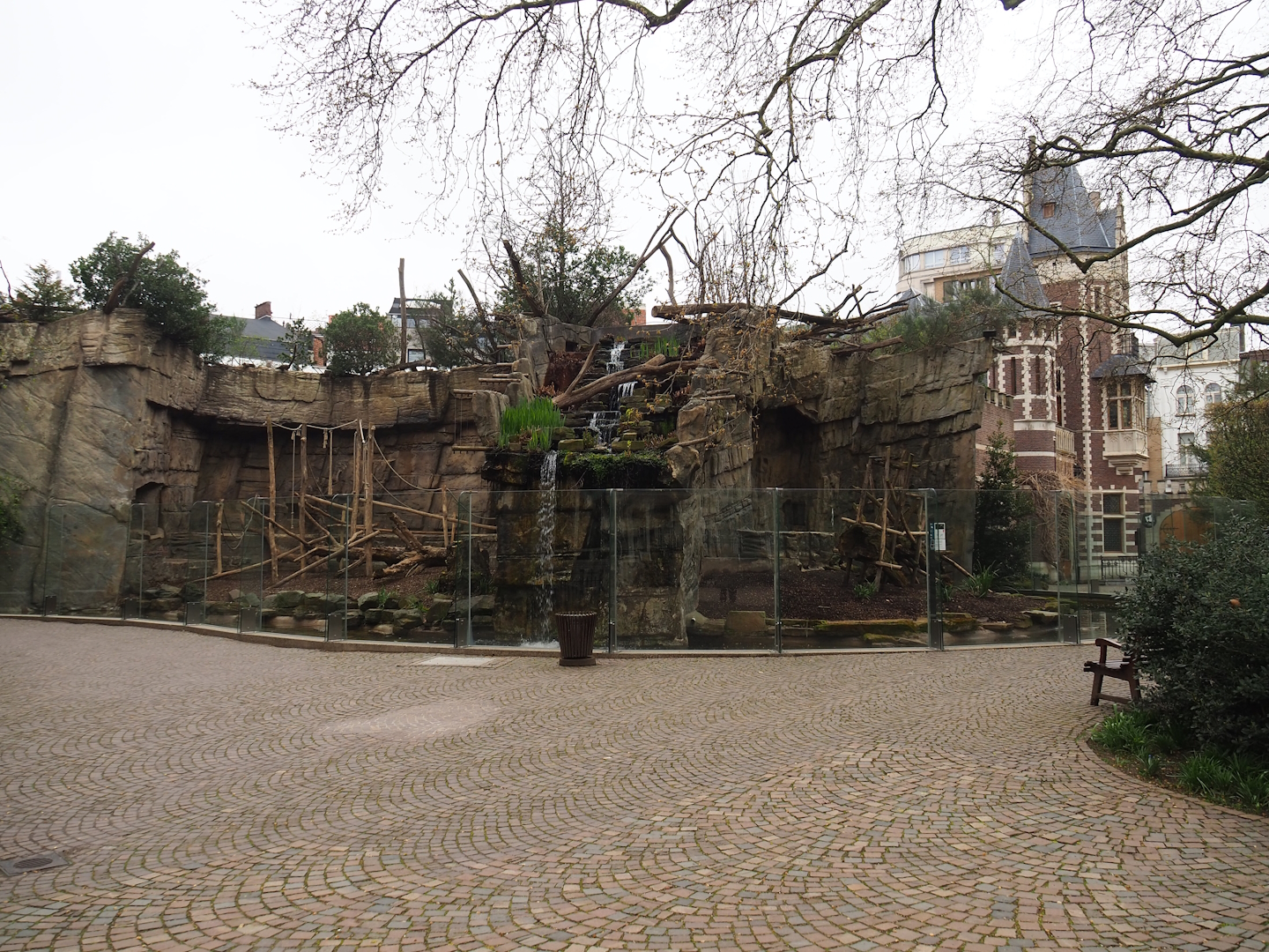 Mandrill and Colombian black spider monkey exhibits, 2023-04-08