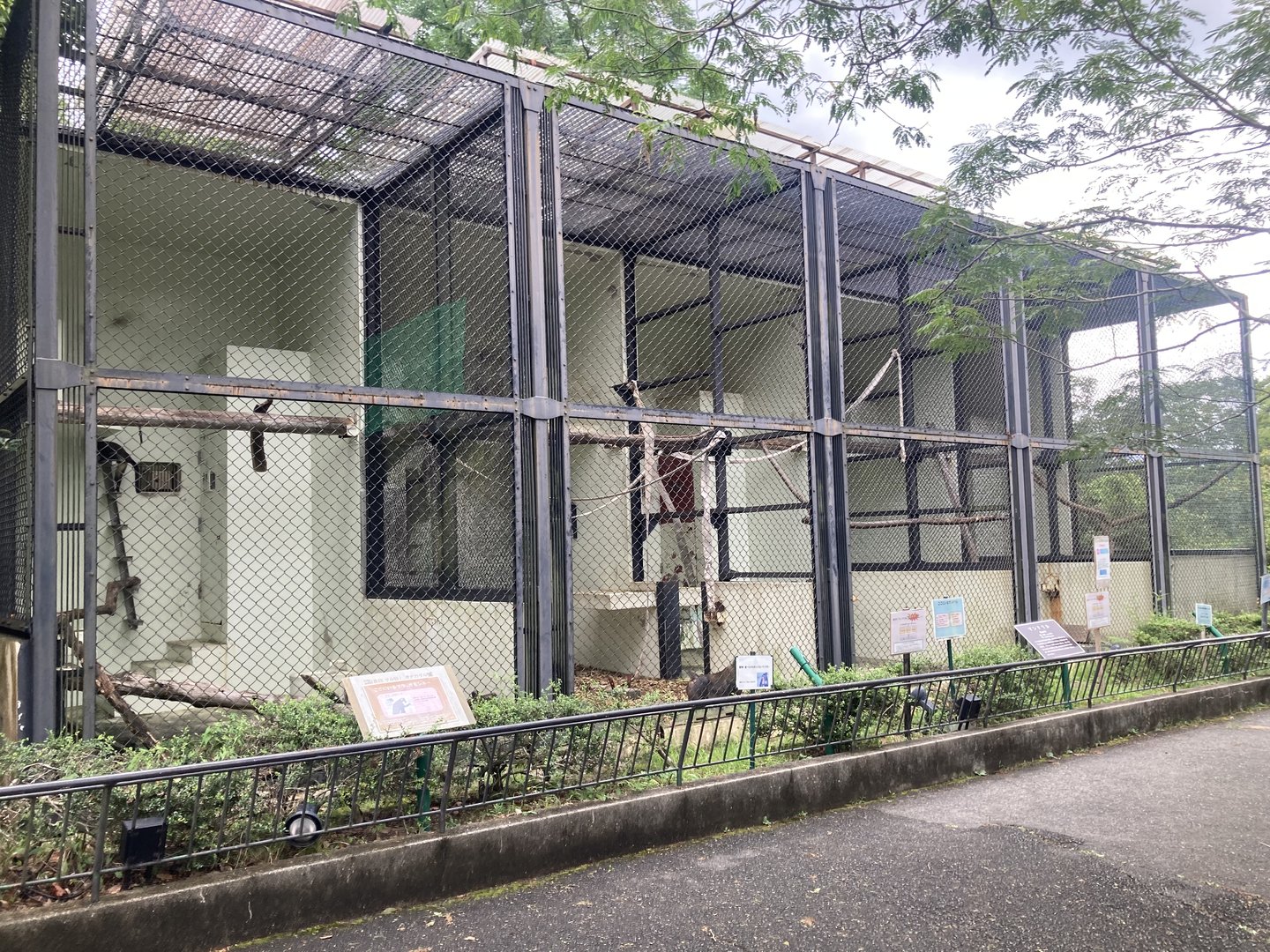 Mandrill and guenon cages