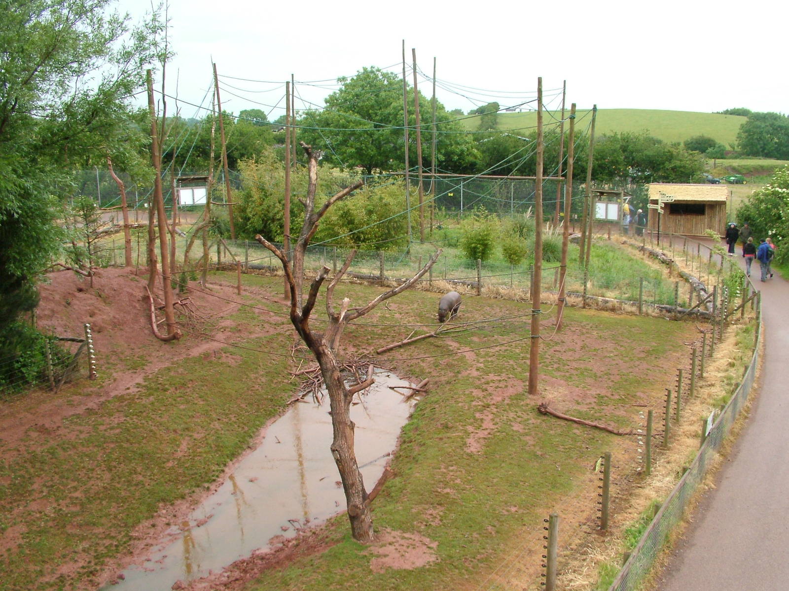 Mandrill and Pygmy Hippo enclosure at South Lakes WAP 2008