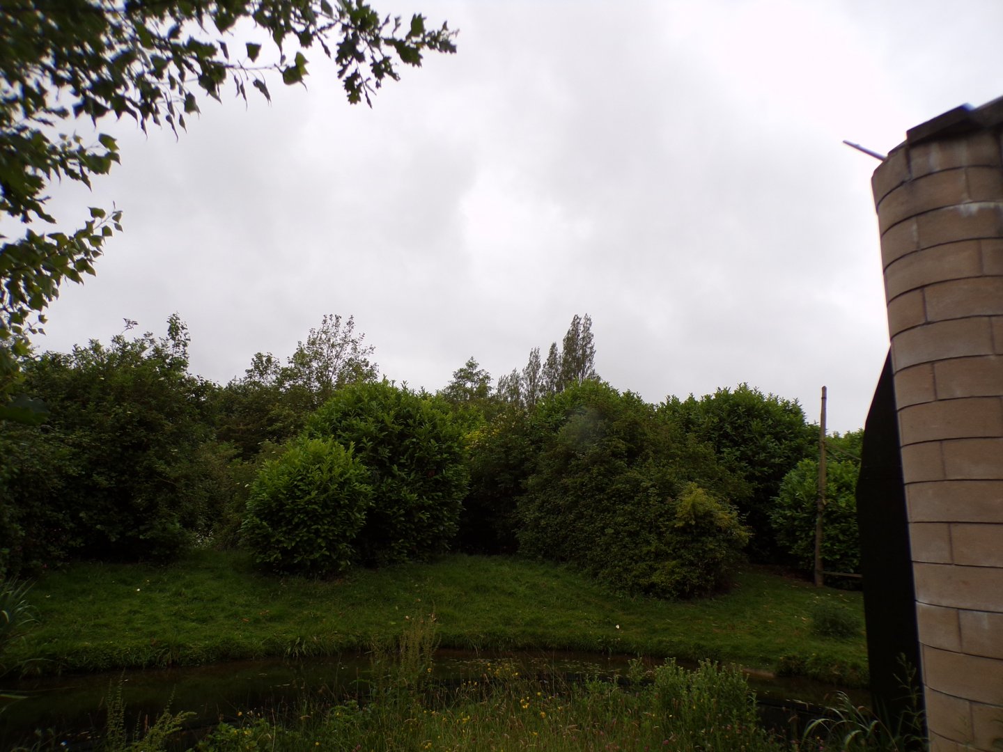 Mandrill enclosure 29.6.24