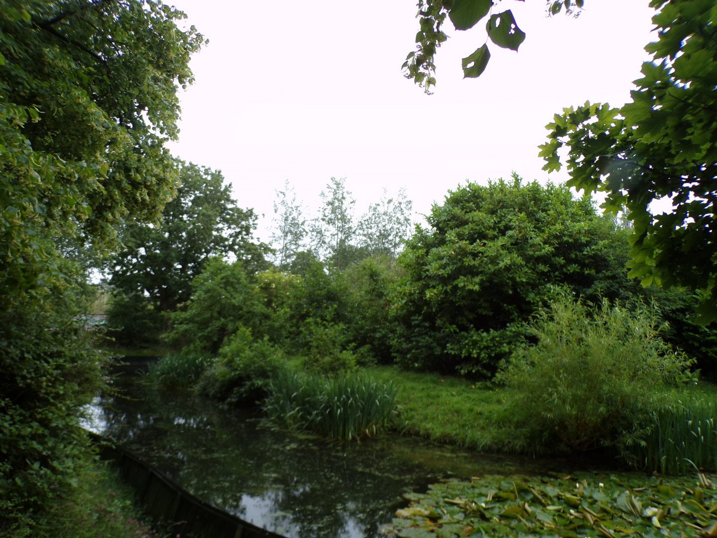 Mandrill enclosure 29.6.24