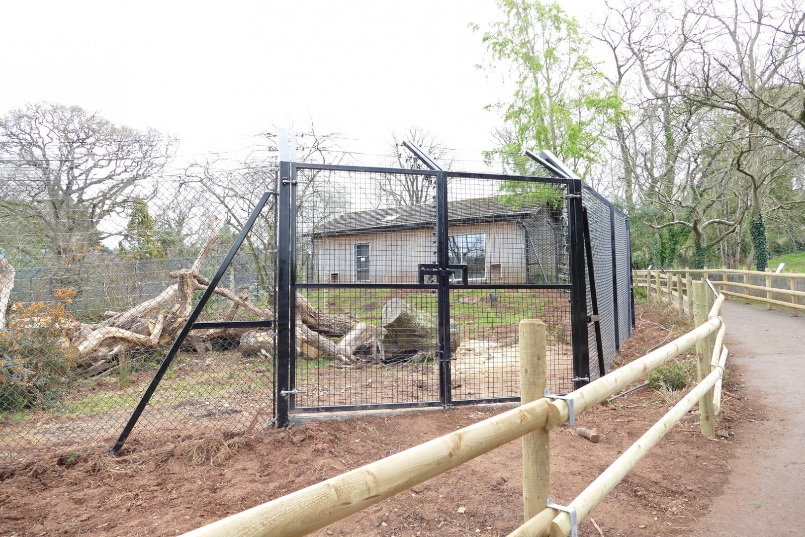 Mandrill enclosure, April 2022