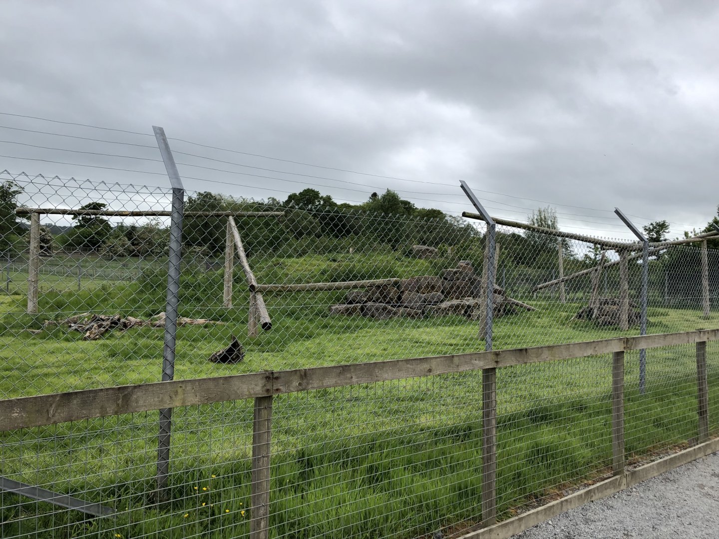 Mandrill Enclosure (?) at Lake District Wildlife Park (May 2019)