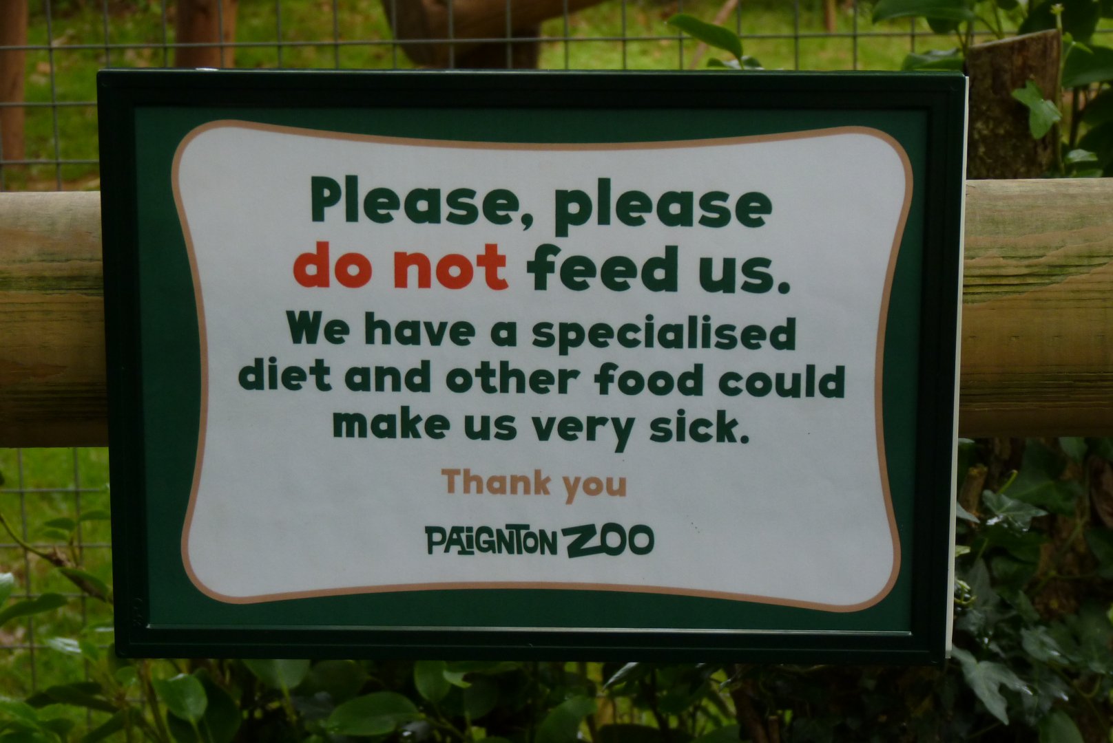 Mandrill enclosure, August 2017