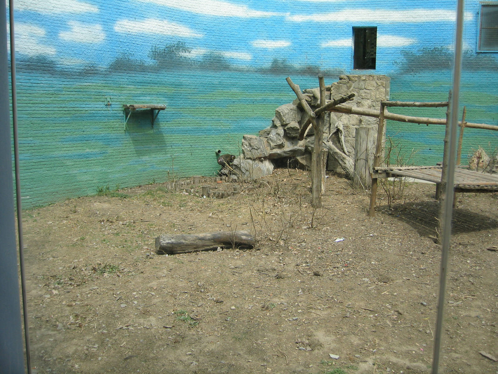 Mandrill enclosure - Beijing Zoo