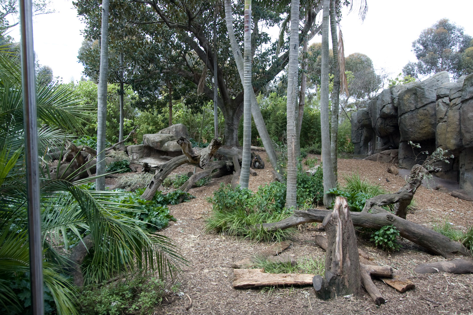 Mandrill Enclosure - Sep 2008