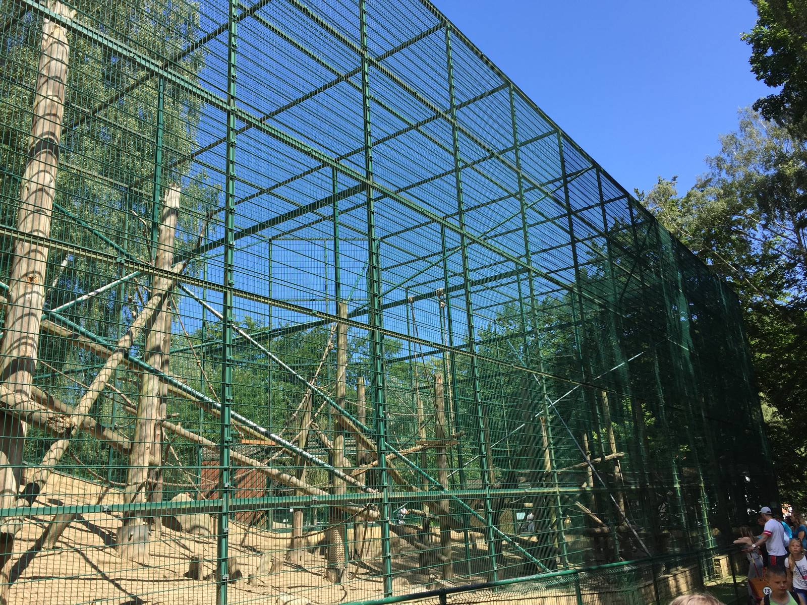Mandrill enclosure - Zoo Gdansk 20.07.16.