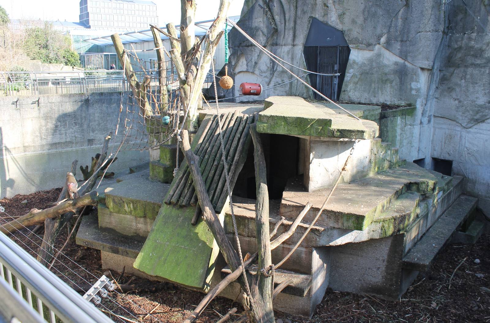 Mandrill enclosure