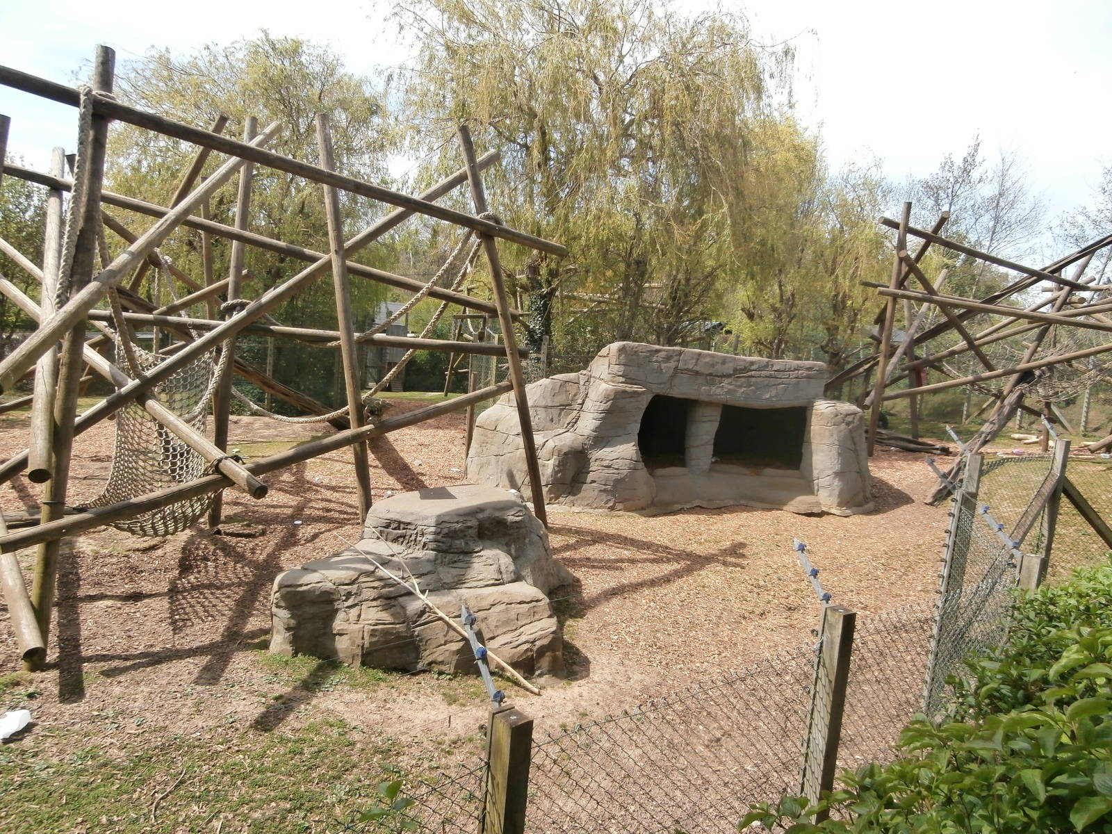 Mandrill enclosure