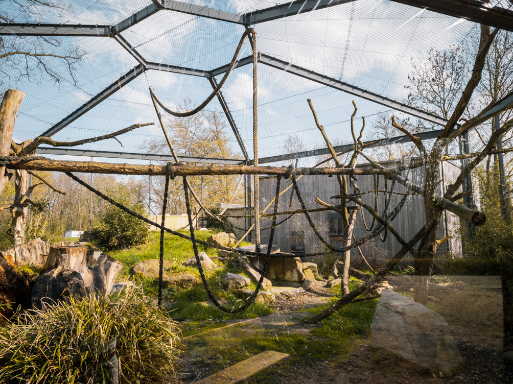 Mandrill enclosure