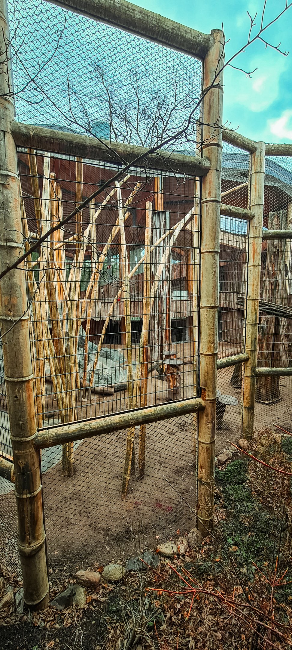 Mandrill enclosure