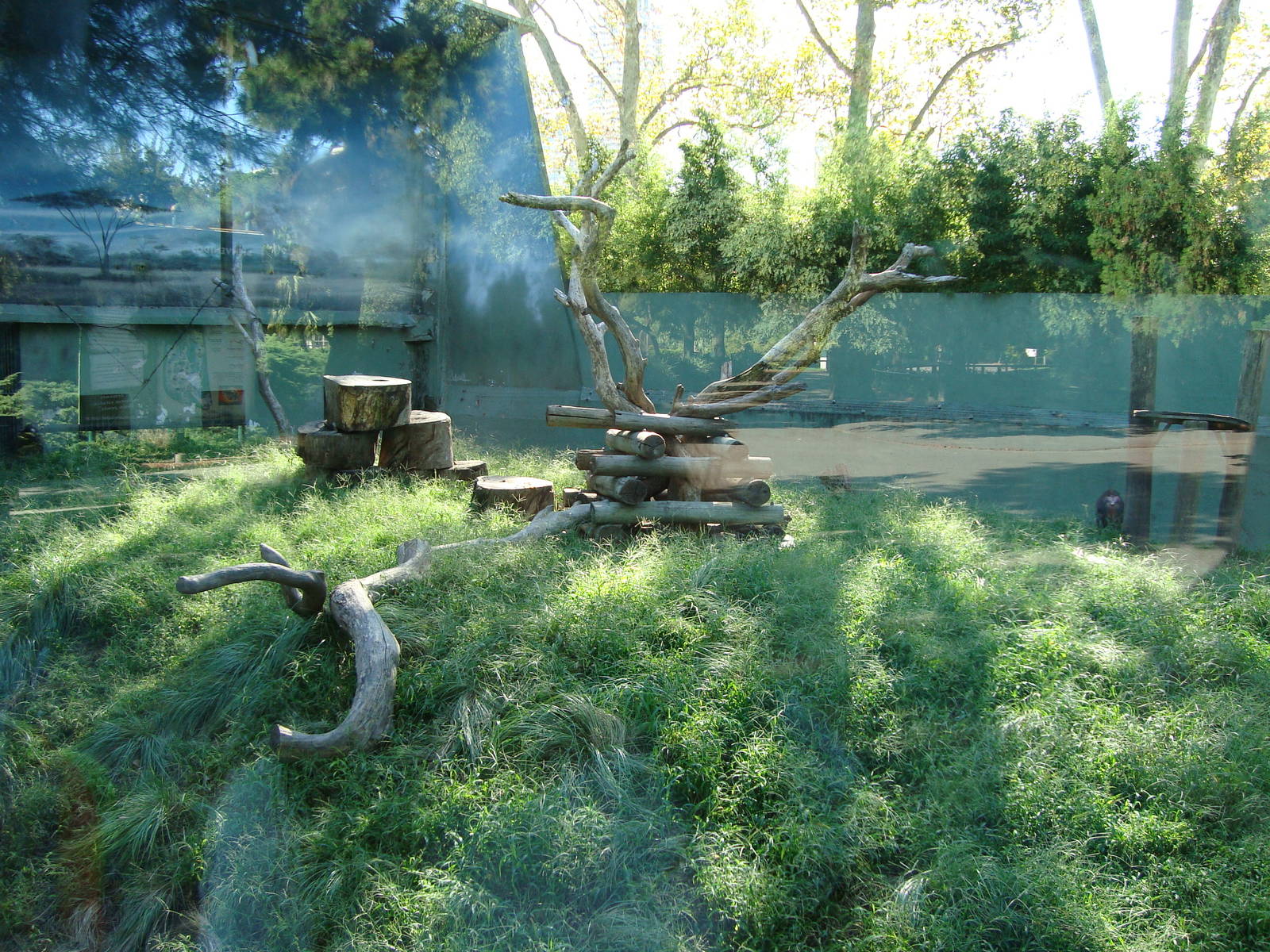 Mandrill enclosure