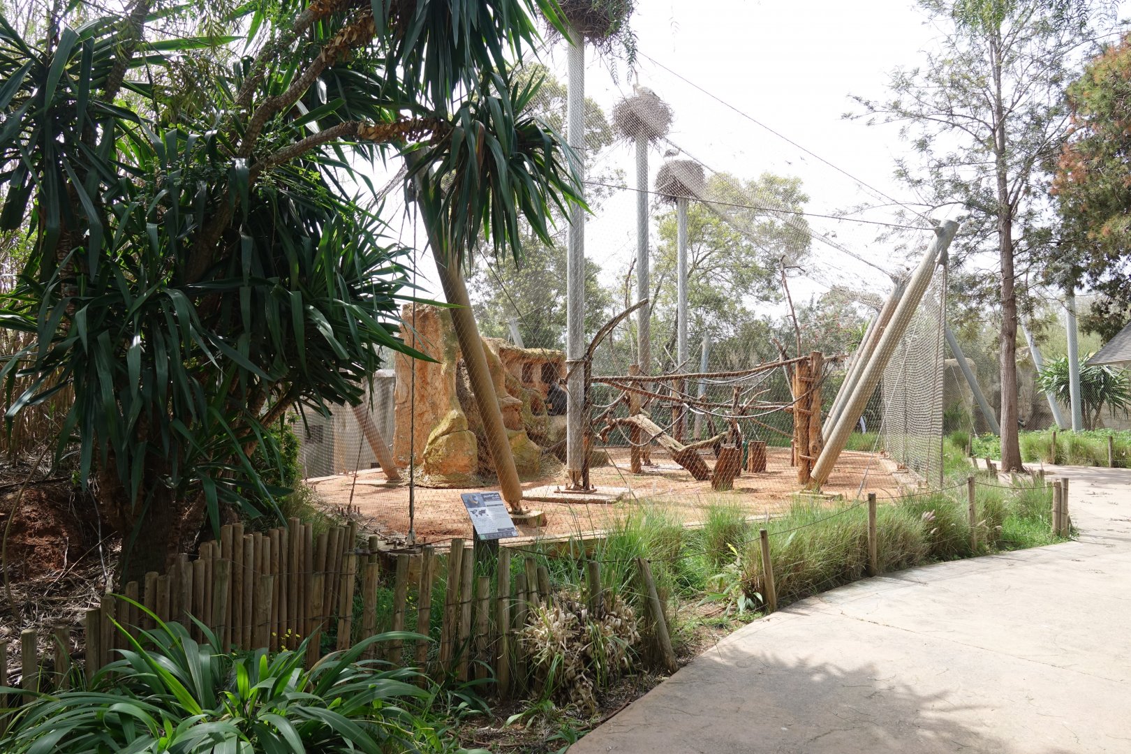 Mandrill Enclosure