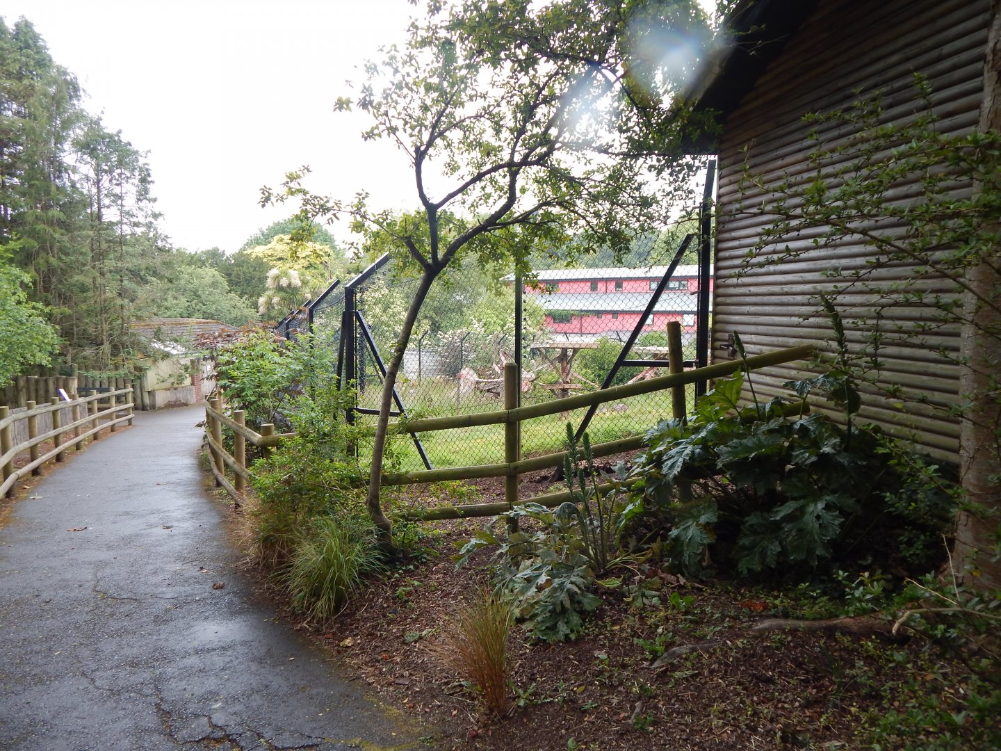 Mandrill exhibit 130624